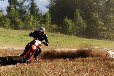 Wiesencross 2008