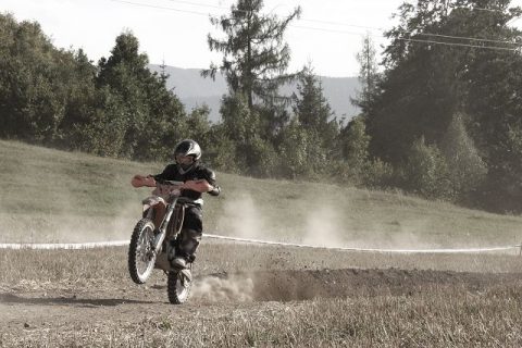Wiesencross 2008