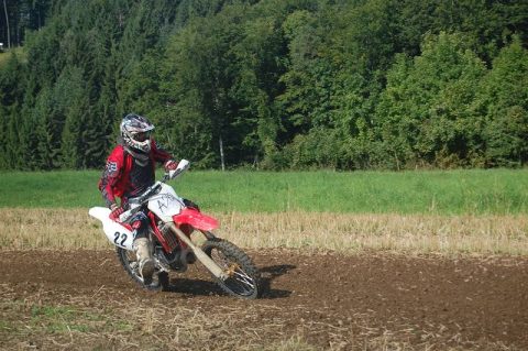 Wiesencross 2010
