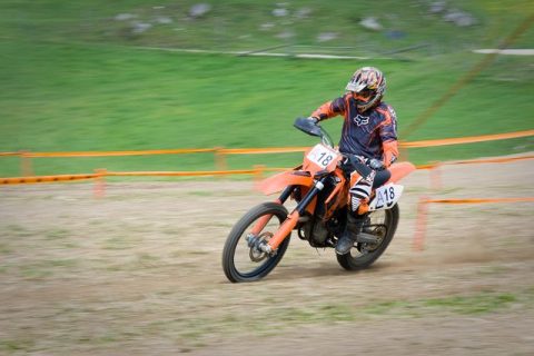 Wiesencross 2011