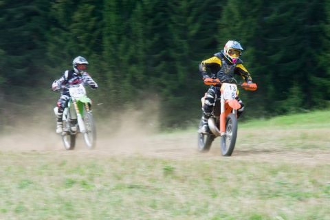 Wiesencross 2011