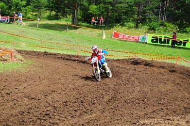 Wiesencross 2018