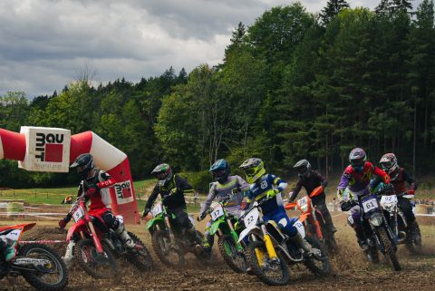 Wiesencross 2026